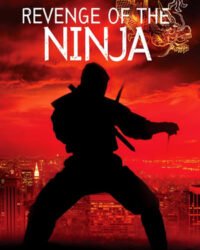 Ninja Báo Thù