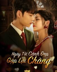 Ngày Tốt Cảnh Đẹp Gặp Lại Chàng